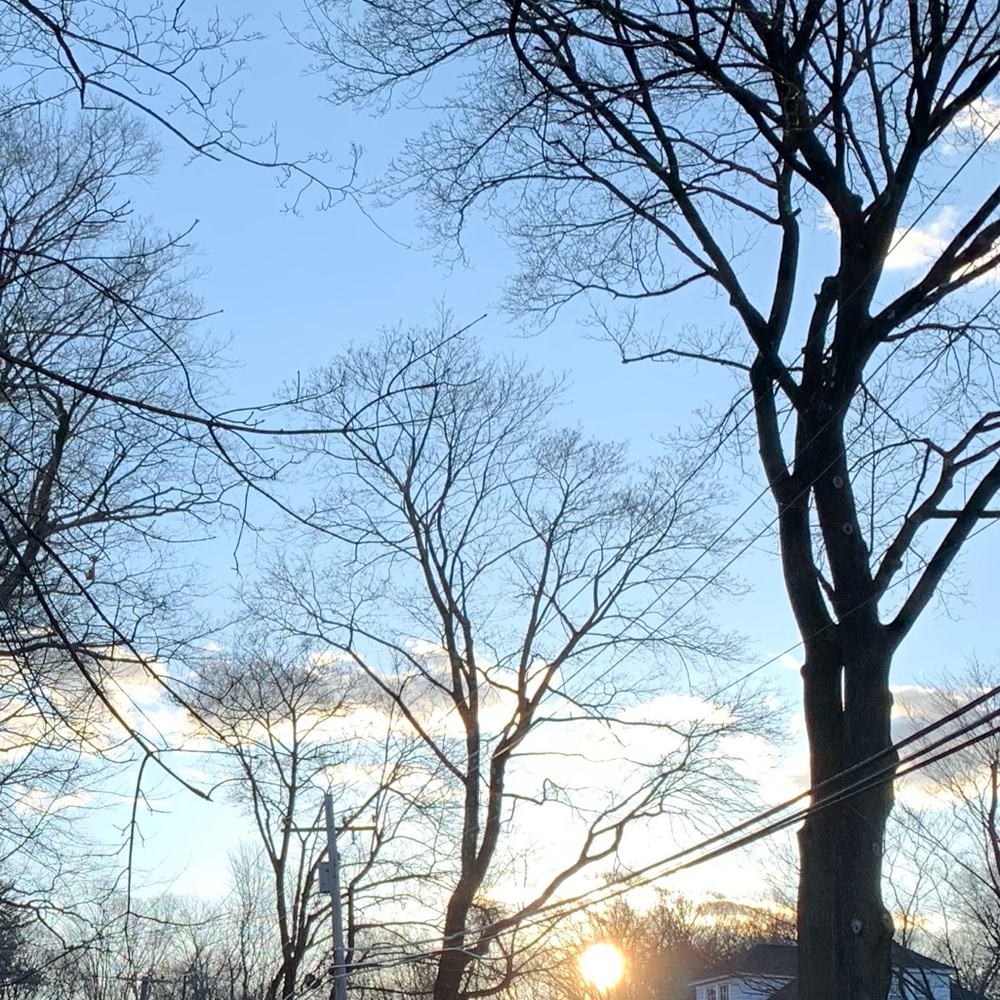 Meet your Posher, Amalie